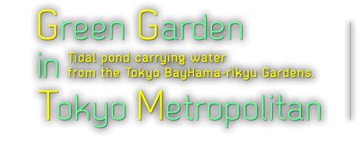 Green Garden in Tokyo Metropolitan